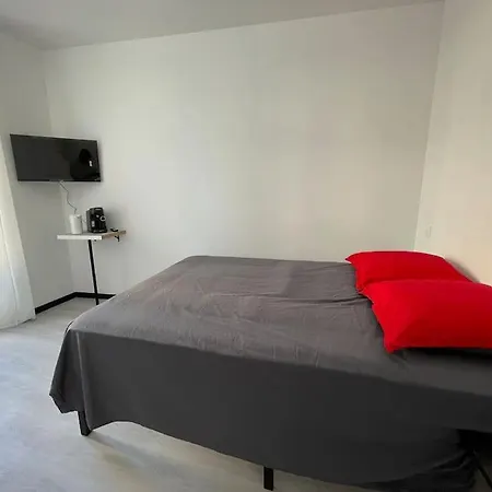 Studio A2 18M2 Cosy 5Minutes Gare Parking Gratuit Rue De La Mure Roanne Exterior foto